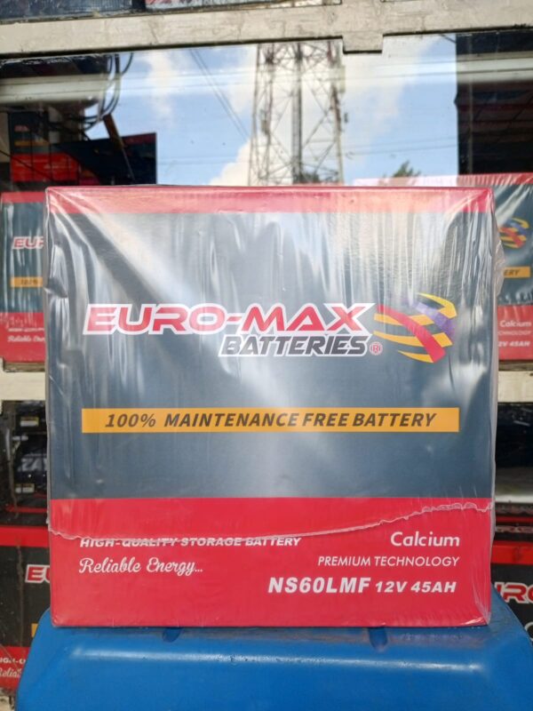 NS60 Euro-Max Battery