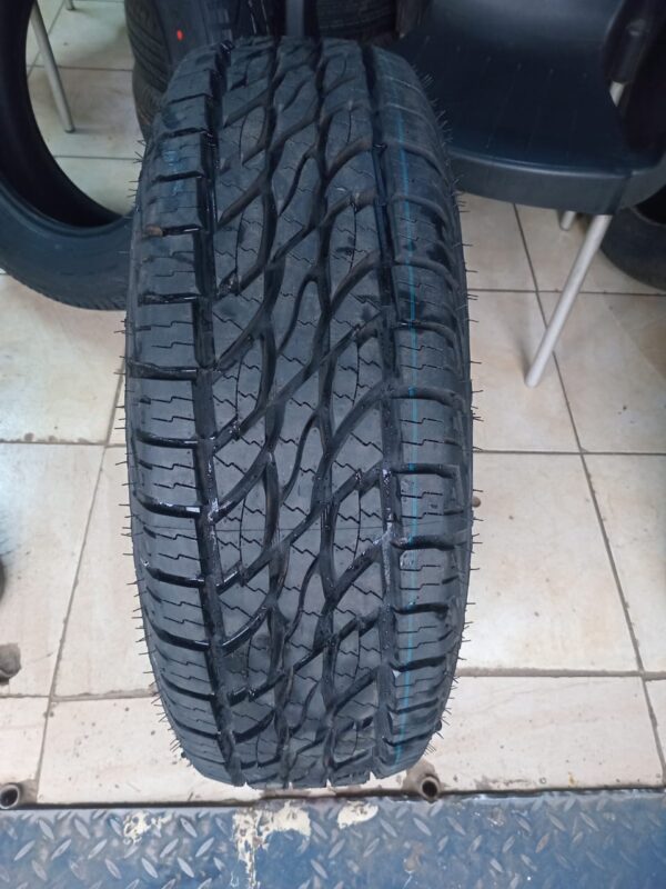 235/65r17 Ecolander